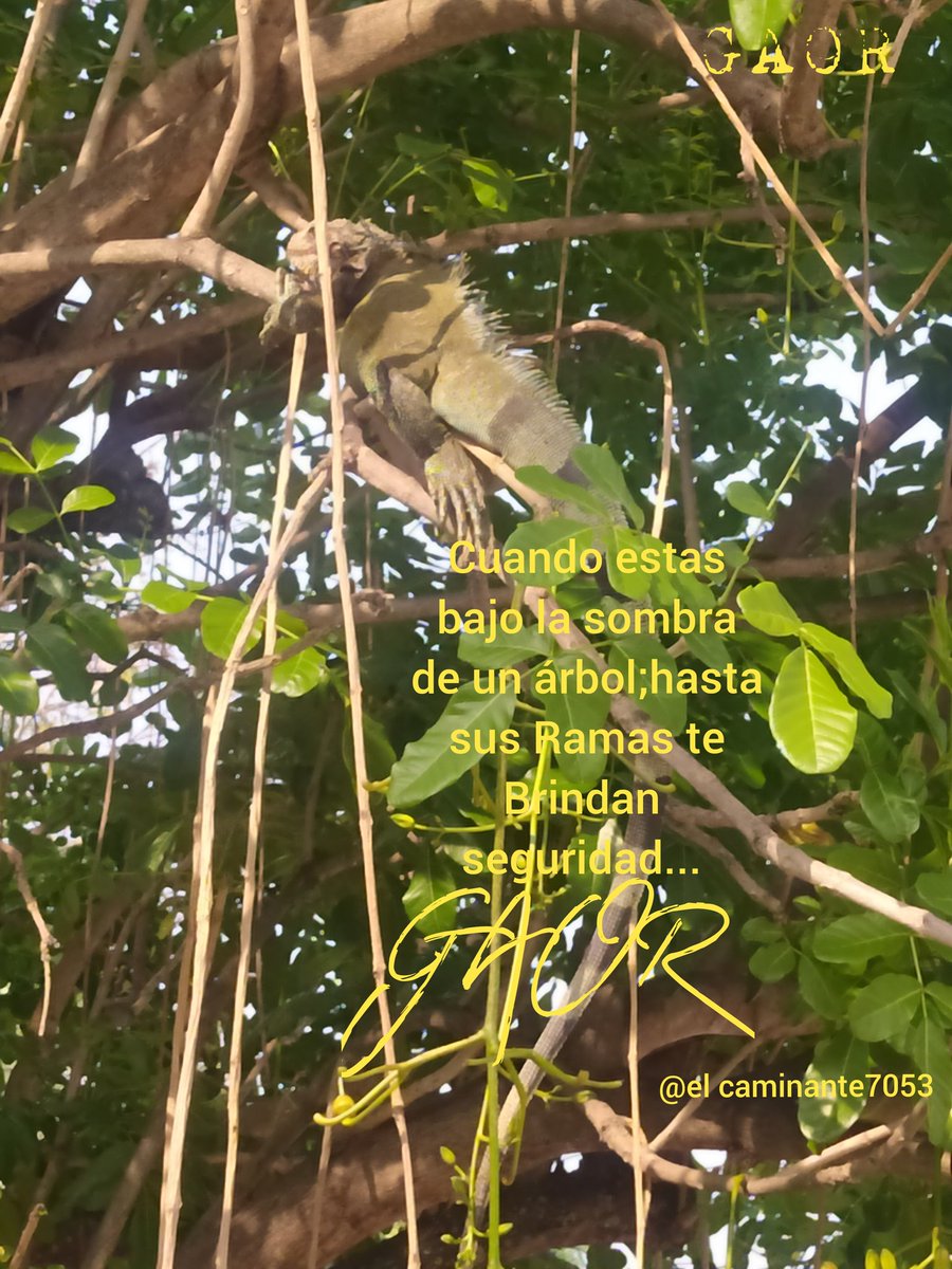 materiales_ tweet picture