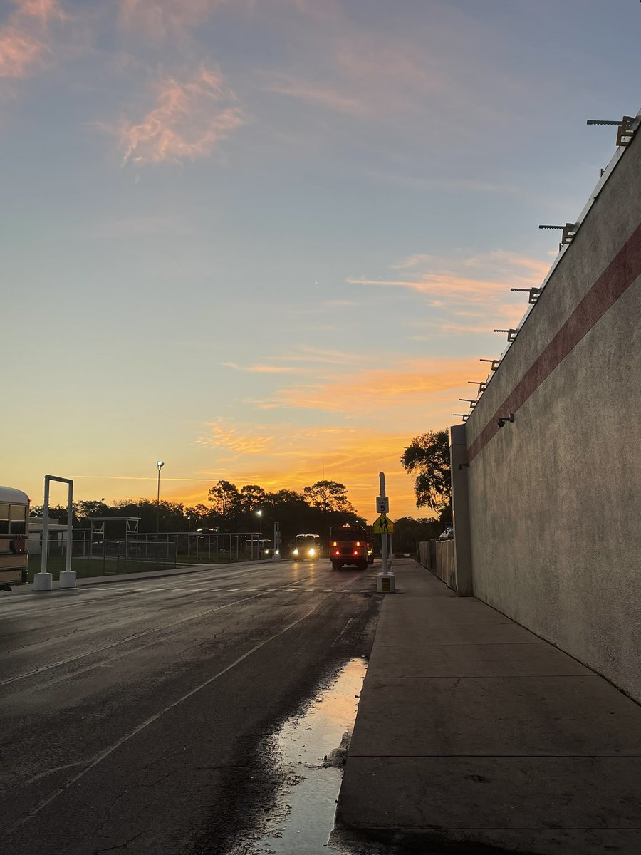 Happy Friday, Cobras!! ❤️🐍💛