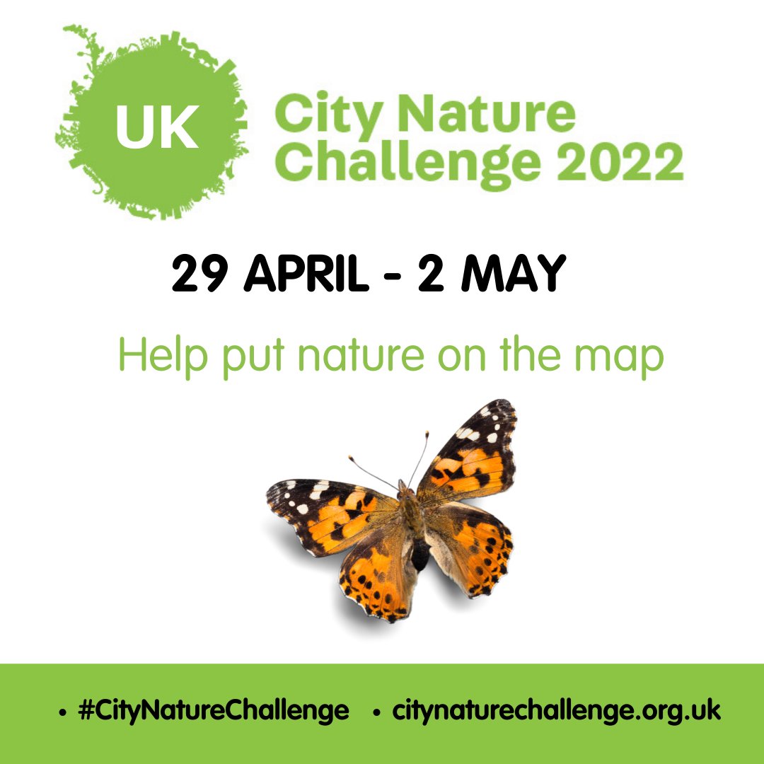 Royal Entomological Society tweet media