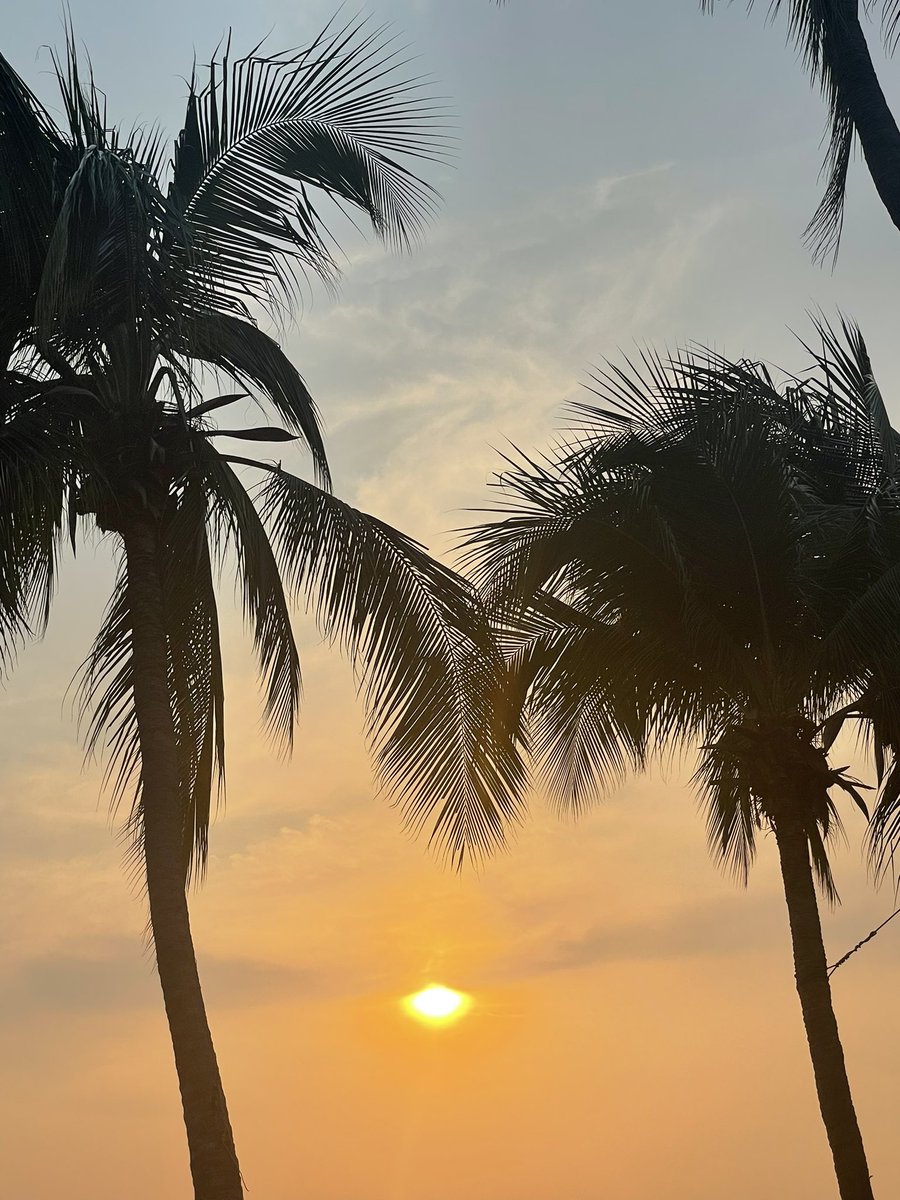 ibaeyouuu's tweet photo. 🌴🌞 https://t.co/Ub5ZdIeGdv