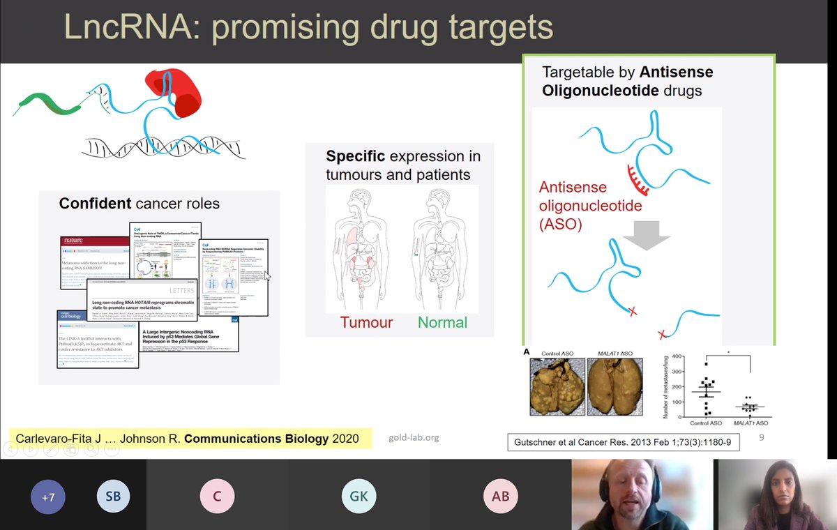 Exciting @IrishLungCancer meeting today with superb talks from: - @adrianbracken @CancerInstIRE: Functional genomics, EZH2, H3K27M, potential applications for lung cancer - Rory Johnson @GOLDLab_UCD: Long coding RNA targeting @CancerCentreIre @cancertrials_ie @RCSI_Research