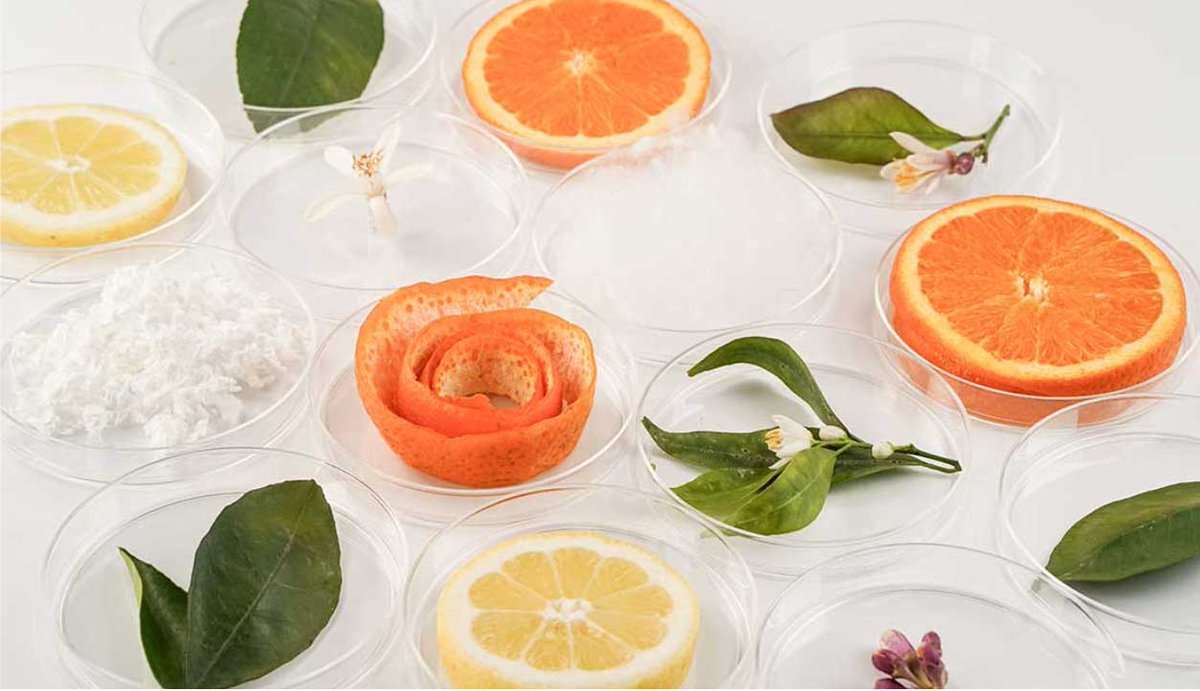 Did you know that #Italy generates one million tonnes of citrus juice by-products every year? 

#SITAlumni <a href="/OrangeFiber/">Orange Fiber</a> has found a way to transform it into fabric for the fashion industry!

Do you want to know more? Read Orange Fiber's story here 👉 bit.ly/3HE4Dci