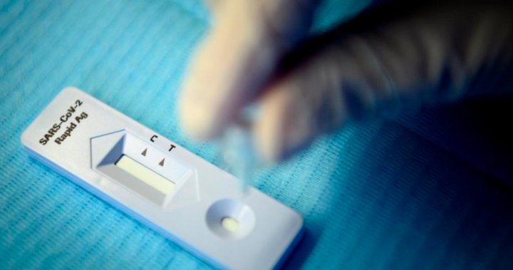 GlobalNational's tweet photo. Vaccinated Canadians can have COVID-19 symptoms despite testing negative. Hereβs why https://t.co/FRrI3pLNvz https://t.co/3vgOev6F9O