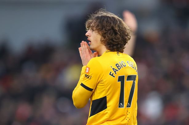 Talking Wolves tweet media