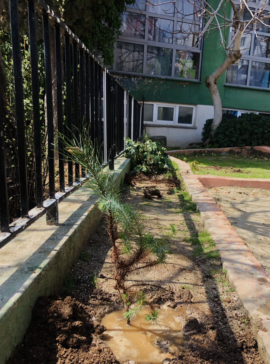 “Doğa”ya verilebilecek en güzel hediye ağaç dikmektir.Diktiğimiz fidanlar sizlerle, umutlarınızla büyüsün yeşersin... 🌱🪴🌲 <a href="/kartalbld/">Kartal Belediyesi</a> <a href="/NurhanAcarr/">Nurhan Acar</a> <a href="/cigdemkarakas16/">Çiğdem Karakaş</a> <a href="/yakacik_doga/">DOĞA KOLEJİ YAKACIK KAMPÜSÜ</a>