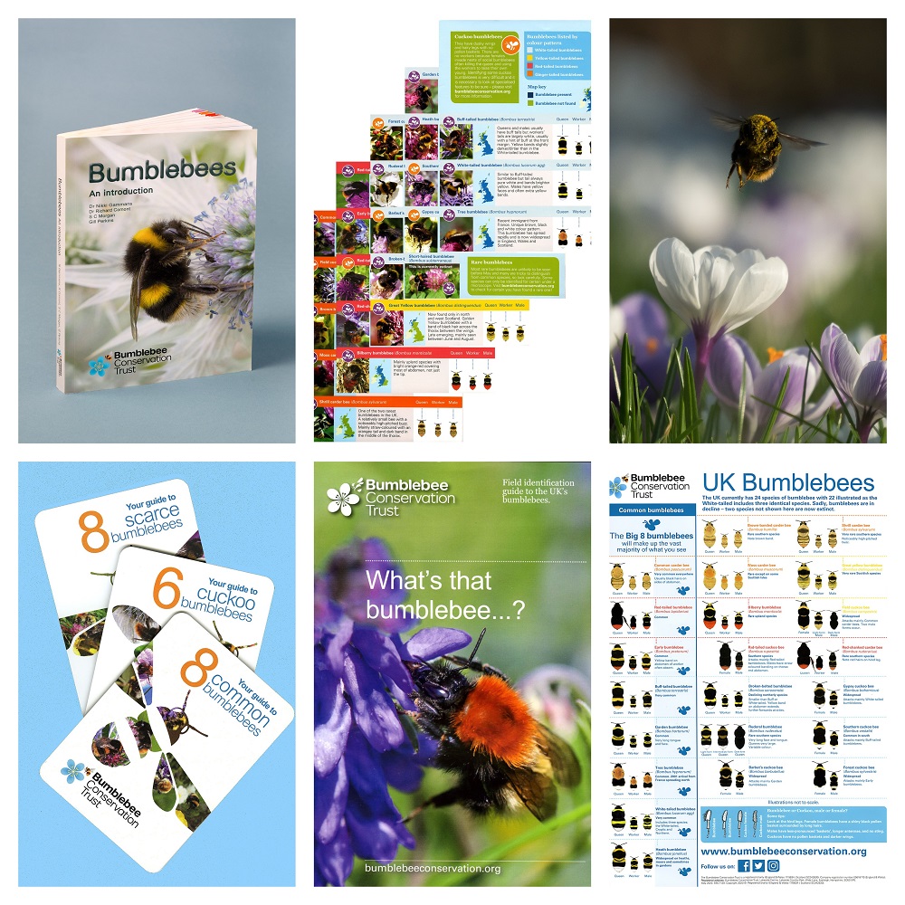 BumblebeeTrust's tweet photo. It was definitely a bumblebee - now what species was it? 🤔 Let us help you with our great range of Bee ID guides starting at just £2? Take a look 👀
👉🏿 https://t.co/i7ZbF7isXu
#Bumblebee #Merchandise #BumblebeeID #Wildlife #Learning #BumblebeeSpecies #BeeWalk #BeeTheChange https://t.co/mEx0RafGHp