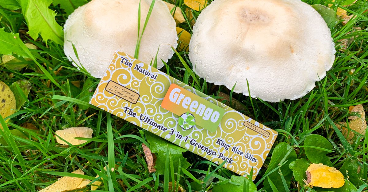 greengoproducts's tweet photo. The Ultimate 3 in 1 Greengo Pack with King Size Slim rolling papers, unbleached tips and a built-in rolling tray is the solution for everyone. 

#cannabisculture #greengo #natural #stoner #nature #ganja #wake #weed #pure #high #420 https://t.co/OgRDueGZqQ