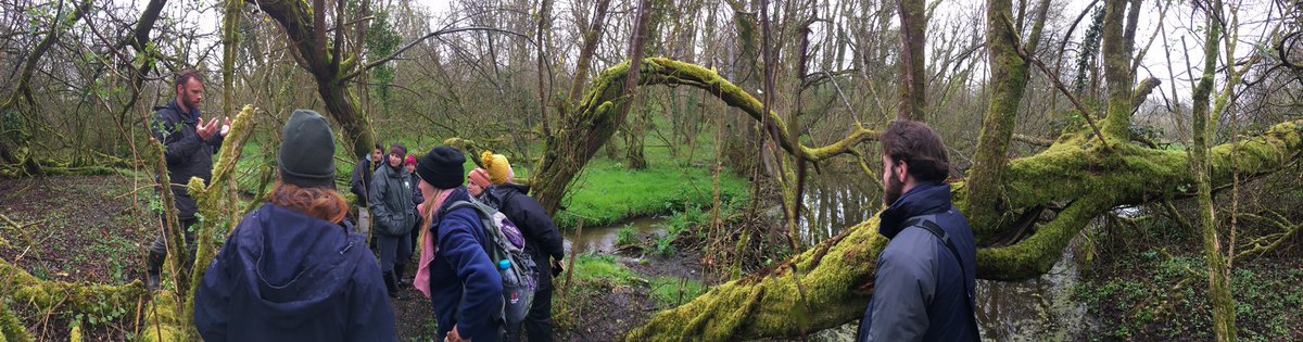 wild_paths's tweet photo. Last day of the residential for our Wild Paths trainees at @DorsetWildlife, a beautiful trip to the enclosed beaver trial site 🦫 @avonwt @SomersetWT @DevonWildlife @WiltsWildlife https://t.co/AP8sD9jpZn