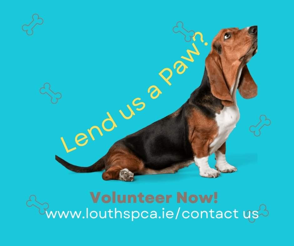 louthspca's tweet photo. 🙋‍♂️  WE NEED VOLUNTEERS! 🙋‍♀️
Bucket Collection at Supervalu Ardee 
Friday 15th April,  8am - 8pm 
Saturday 16th April  8am - 8pm 

✅ ⏰To book a volunteer slot at a time that suits you best, visit:
https://t.co/IJxo66bUOj

Thankyou! 🦸‍♀️🦸‍♂️💪😻🙏🤗 https://t.co/1J6hOIHAwx