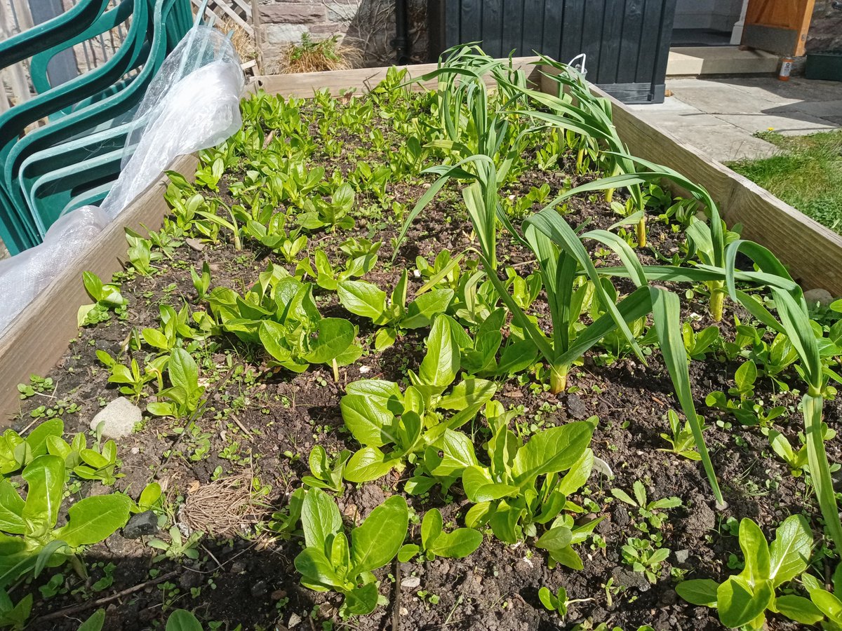 john_centre's tweet photo. The garden is starting to come along now, with some seedlings on the go and flowers coming, why not check out our natural gardening methods tomorrow at our seed swap 10 to 2? https://t.co/mNkUImGl3b