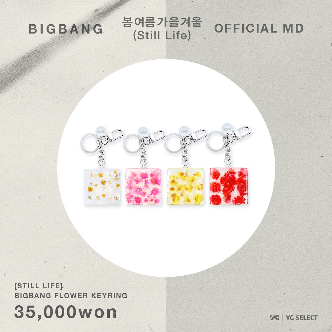 👑BBshopVIP👑 tweet media