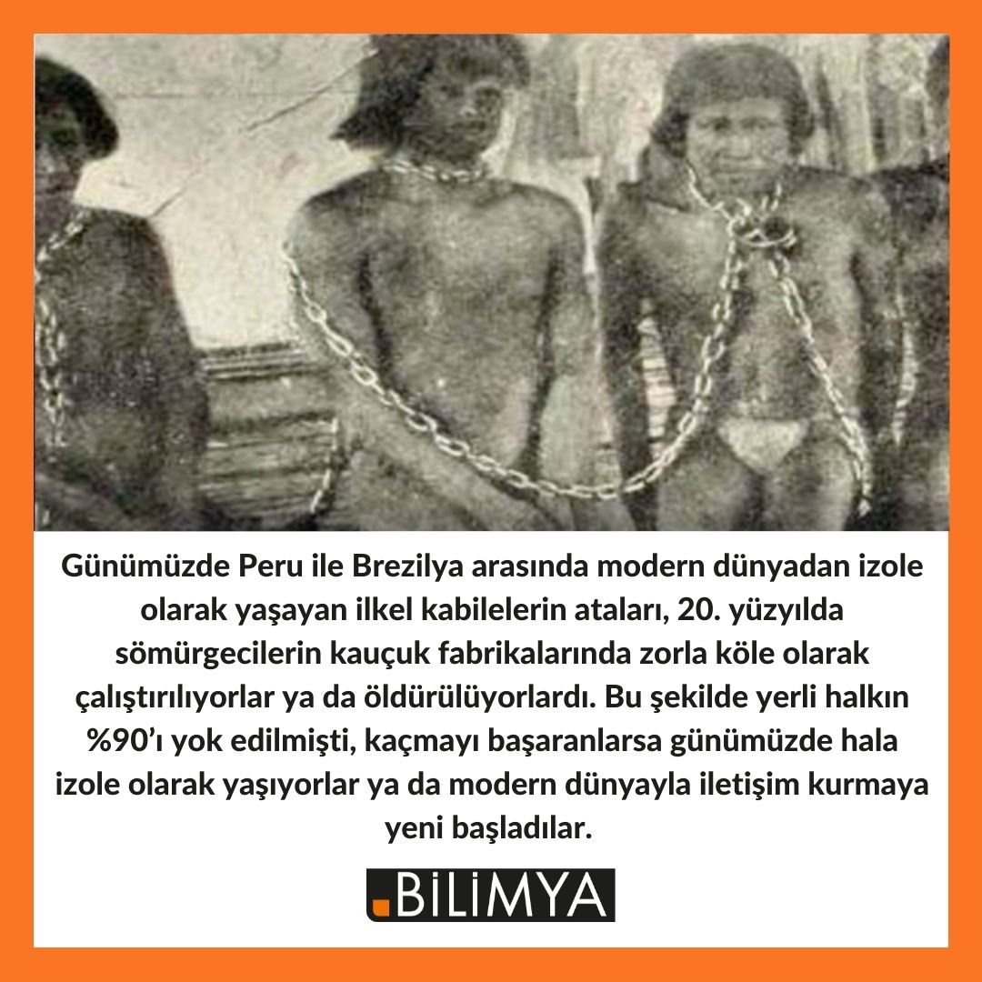 #amazon #ilkelkabileler #tarih