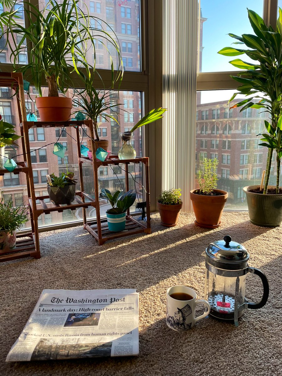 beatrizprey's tweet photo. Pequenos prazeres da vida adulta: luz do sol, plantas, café moído na hora, jornal e Maria Bethânia. https://t.co/3vNnHFdhBN