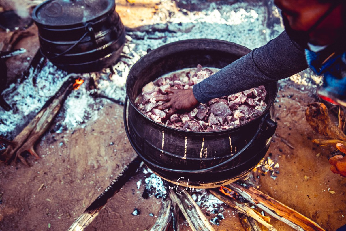 Gonna Elvis🇧🇼 tweet media