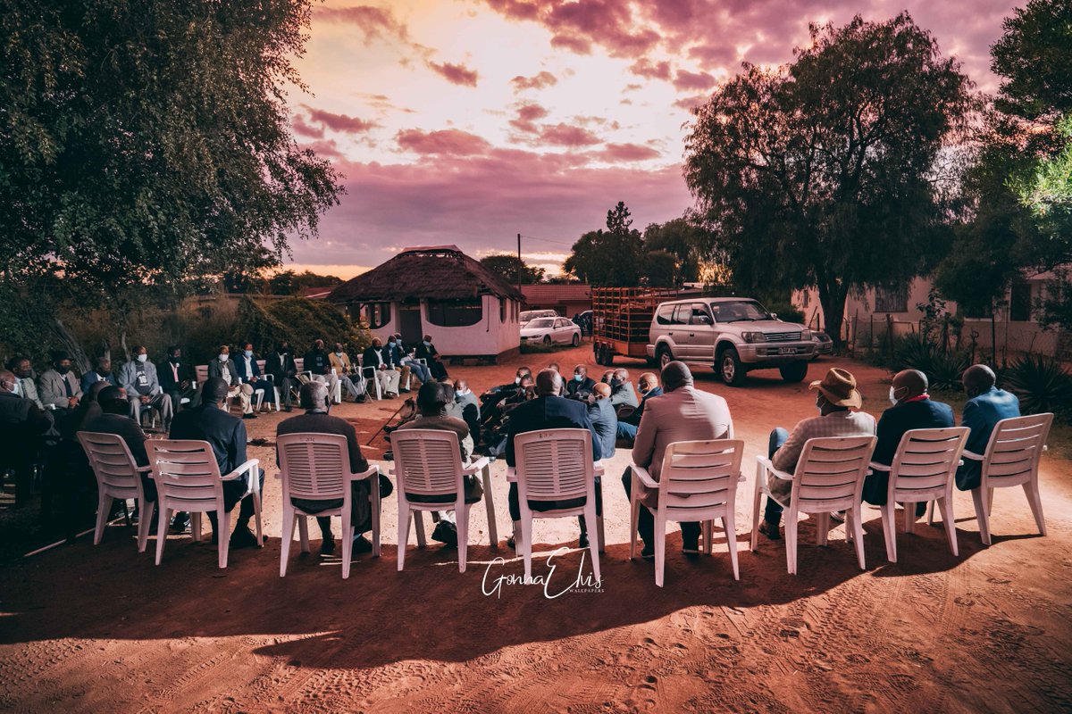 Gonna Elvis🇧🇼 tweet media