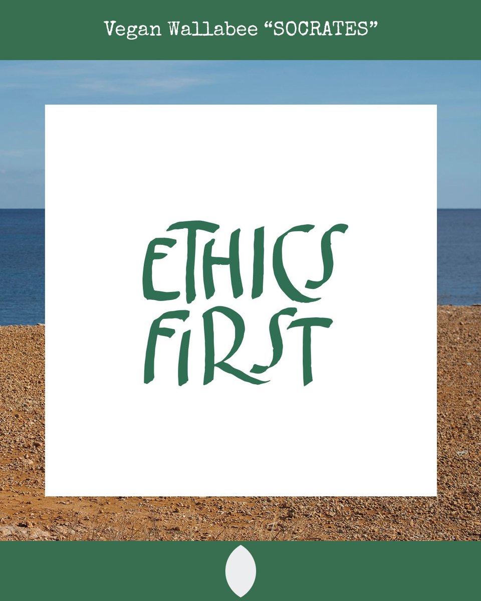 At Vesica Piscis we are more about ethics than aesthetics. We don't wear the corset of trends and we flow in our own way, always complying with three premises: veganism, circular economy and minimalism.

#CircularEconomyDesign
#VeganShoes
#Recycled
#HandMadeinSpain
#Vegan