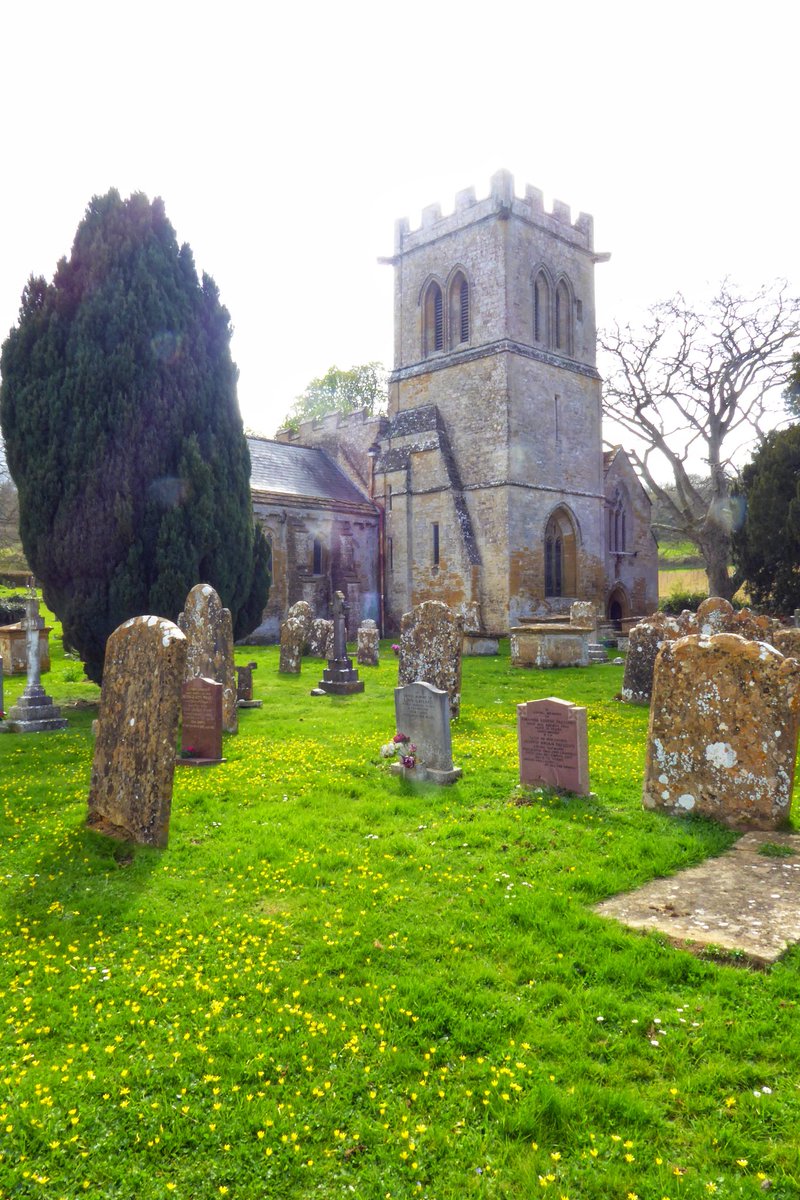 Davidnature22's tweet photo. Stoke Sub Hamdon Church #oldbuildings #somerset #southsomerset #stokesubhamdon #localhistory #placesofinterest #churches #westcountry #tweets #TwitterSpaces #photo #pics #england #englishchurches https://t.co/hutVmq6rhc