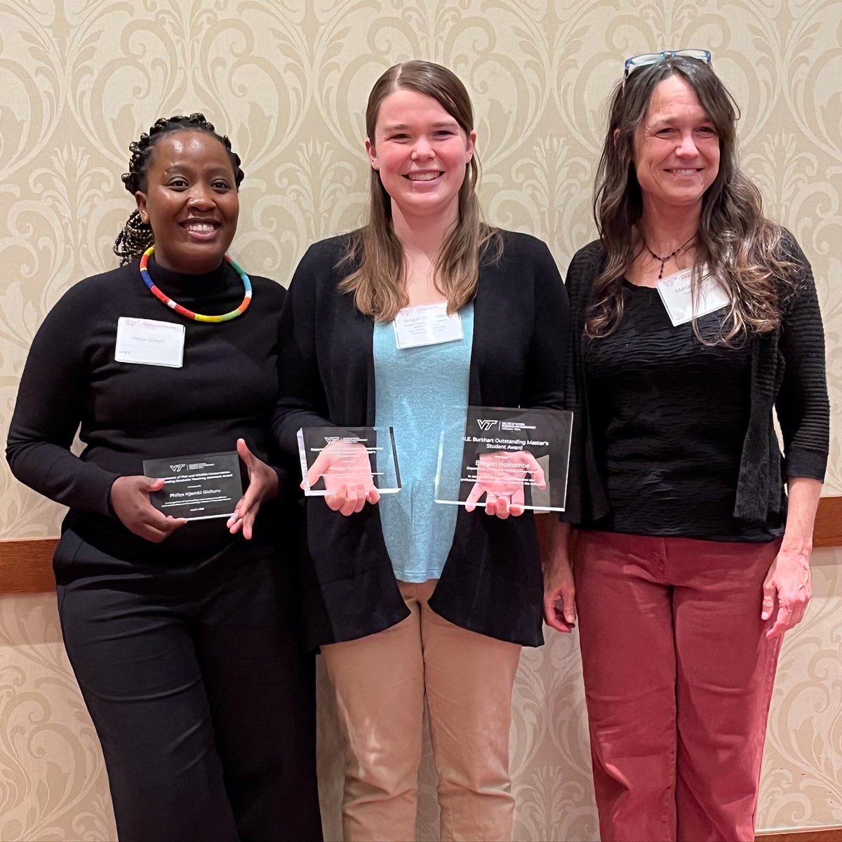 Brogan Holcombe tweet media