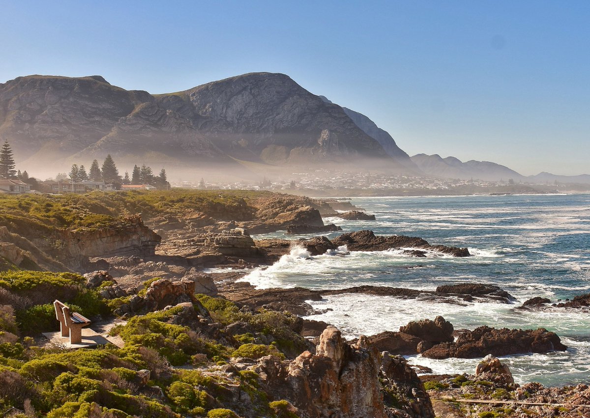 Ocean iMPAct tweet media