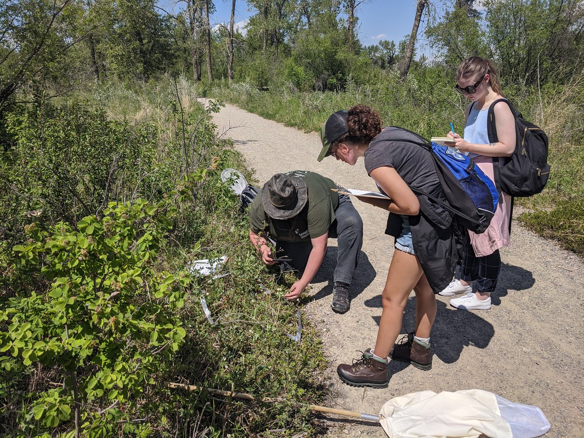 Until April 21, you can support experiential learning, research, and community outreach in biodiversity for UofC students by donating through Giving Days. Any amount meaningfully impacts our students, and eligible gifts will be matched while funds last. givingday2022.ucalgary.ca/o/university-o…