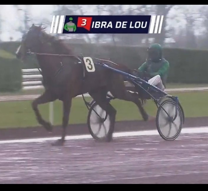 📌 IBRA DE LOU
1 partant pour Un Amour d'Haufor aujourd'hui
Pan carreau 🥇🏆
Encore un produit du crack étalon transformé par le D4
Il s agit du neveu de la grande championne Paola de Lou, 2ème du Cornulier 🤩
#passion #trot #elevage <a href="/HarasHaufor/">Haras d'Haufor</a> <a href="/germain06649928/">germain</a>