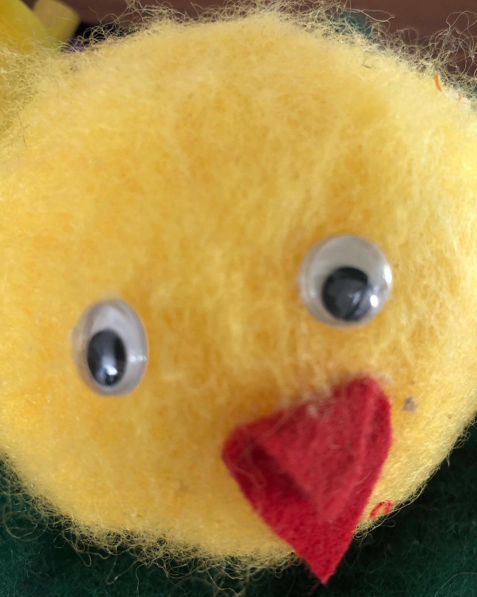 Liv Nesse Amundsen tweet media