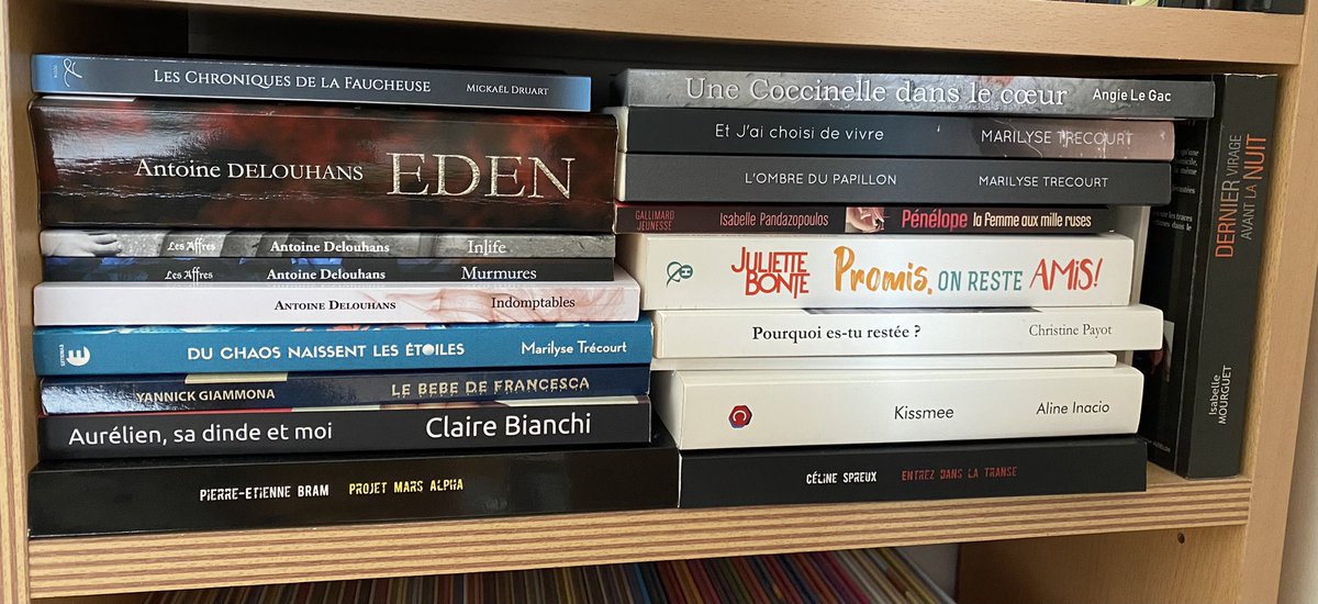 La bibliothécaire enchantée 🐶👩💻👨🏻🎤 tweet media