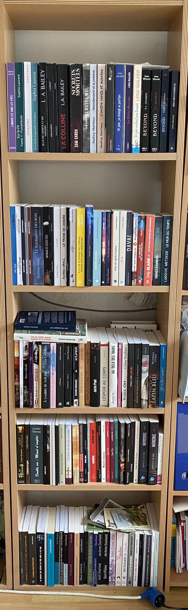 La bibliothécaire enchantée 🐶👩💻👨🏻🎤 tweet media