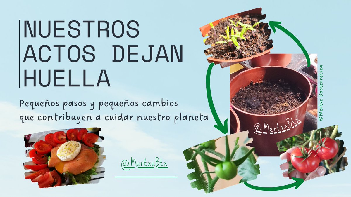 MtxBasterretxea's tweet photo. Somos agentes del cambio! Y tú, has pensado qué puedes hacer?   #HabitosSaludables #ComidaSana #HuertoUrbano #UnaHuertaEnLaTerraza #MisTomates #VivesEmpleaSaludable #MertxeTeCuenta https://t.co/QjF42D4xE6