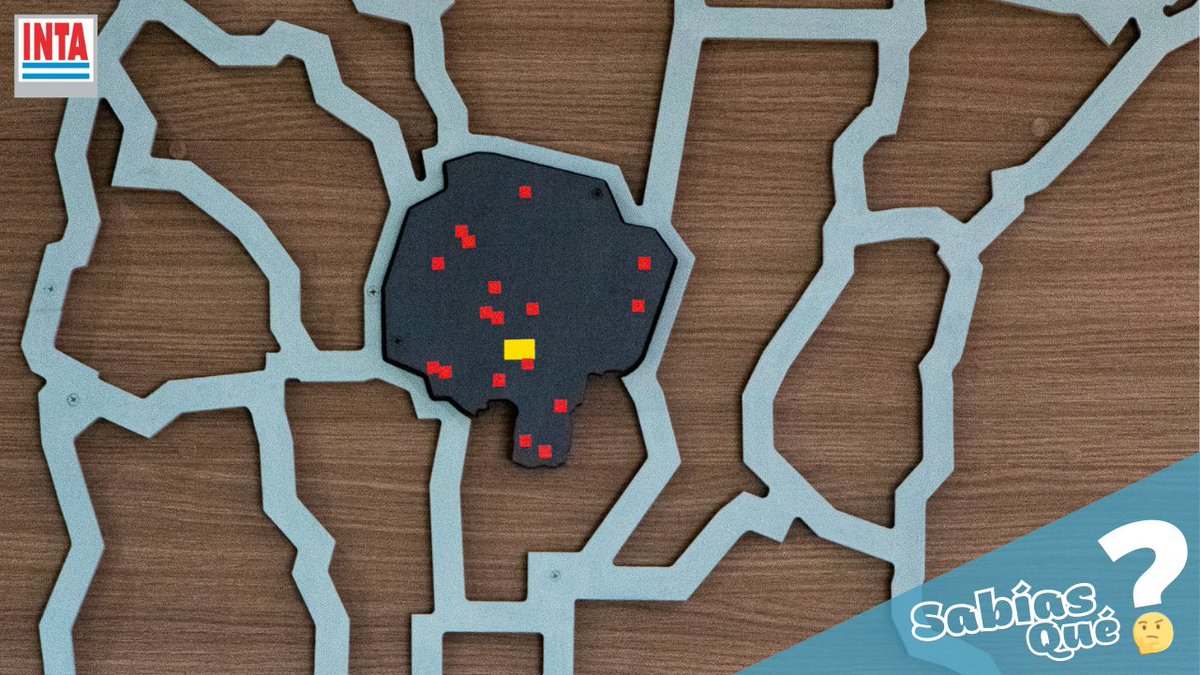 INTA Manfredi tweet media