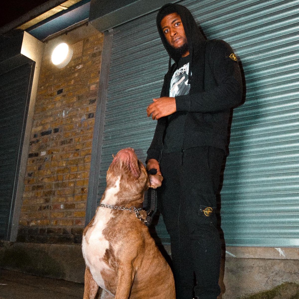 realkaynon's tweet photo. My dargs are more loyal than yours 🗣 https://t.co/tQ1JyvqjvN