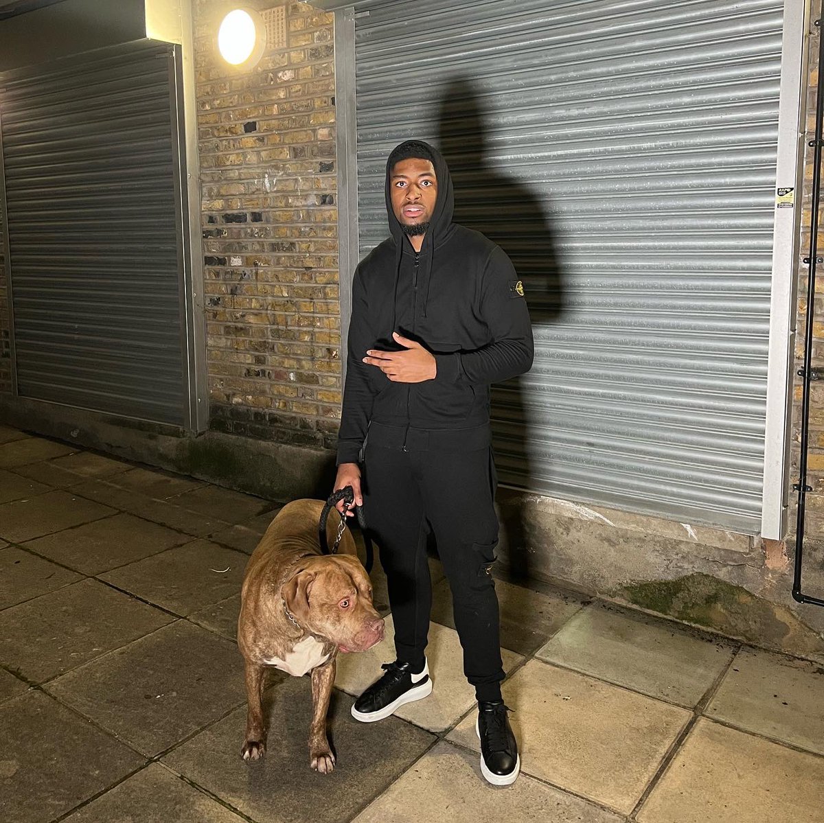 realkaynon's tweet photo. My dargs are more loyal than yours 🗣 https://t.co/tQ1JyvqjvN