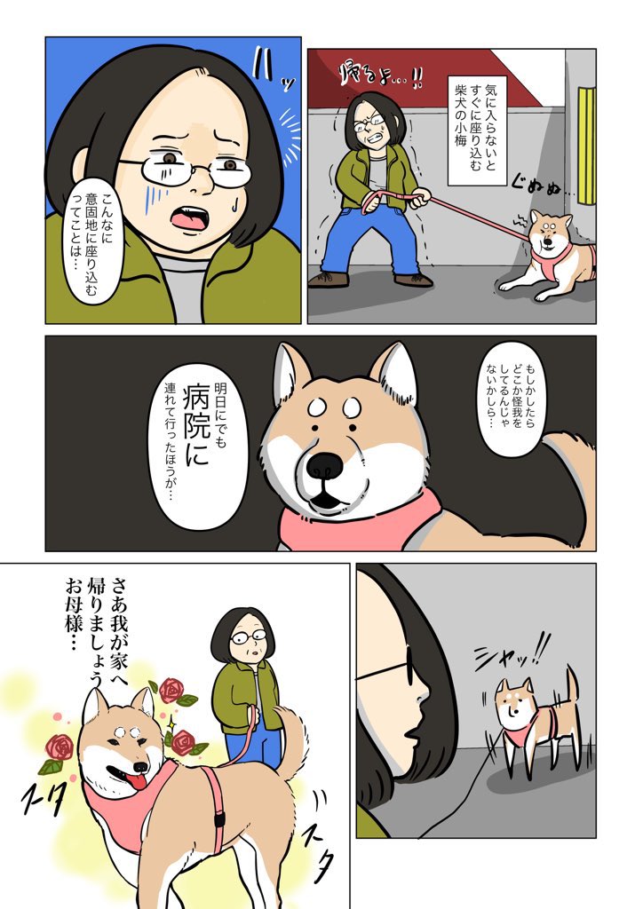 今日は #柴の日 らしいので
人の言葉を理解する柴犬の話を… 