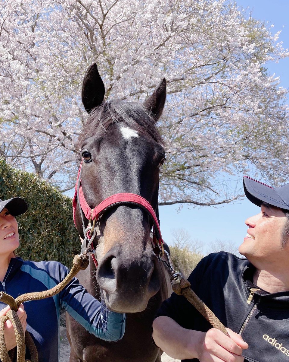 ニシノベイオウルフさん🐴
障害レースでよく見掛けたお馬さん✨本当にいつも頑張っていたね☺️大変お疲れ様でした🥕🍎🎀
これからの馬生もお元気に頑張ってくださいね😆💖