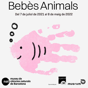 Quins plans teniu per #SetmanaSanta?
Aprofiteu aquets dies per visitar l'expo #BebèAnimals i gaudir de les activitats que hem organitzat per vosaltres tant al #museuciencies com al #jardíbotànic.

Programa:
🪅 linktr.ee/agendasetmanas…