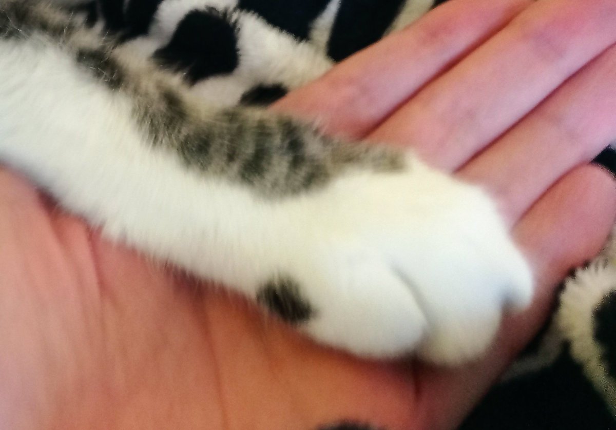 ༺ ✨🧭🧩𝓜𝓪𝔂𝓽𝓮 🧬✨༻ tweet media