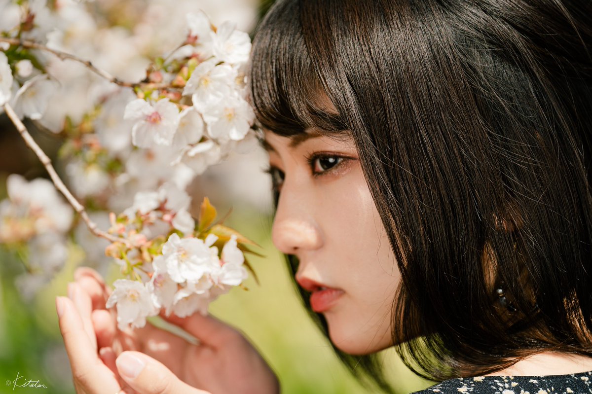 kitatan_lens's tweet photo. Model 小桜はる さん
📷a7III + ZEISS Batis 2.8/135

#小桜はる 
#さくら 
#桜 

#ポートレート 
#ポートレート好きな人と繋がりたい
#被写体募集中 

#キリトリセカイ 
#ファインダー越しの私の世界 

#a7iii #batis #batis135 #sonnar #aposonnar #zeiss  #carlzeiss 
#ツァイス写真部 https://t.co/00qcmNDuZ2