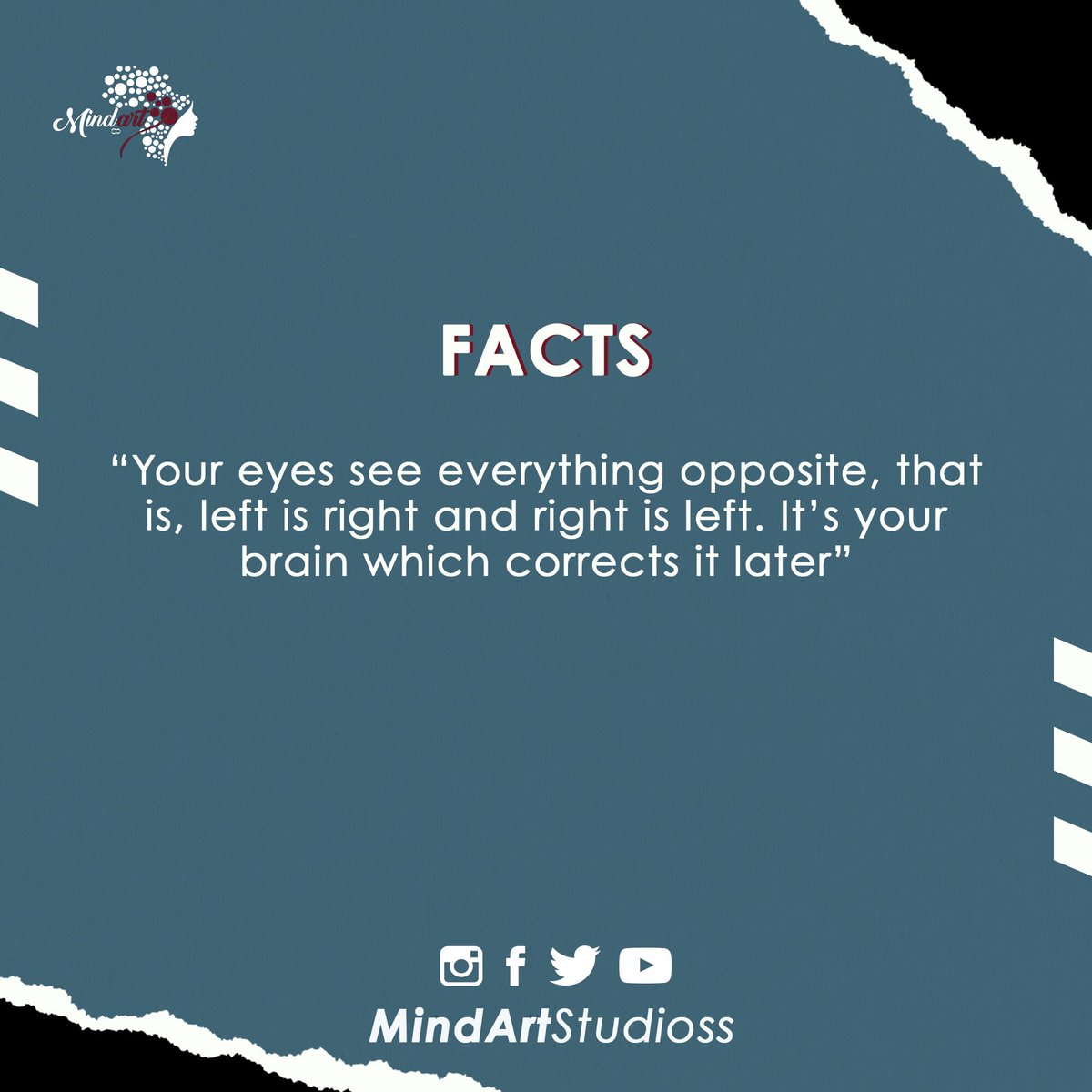 mindartstudioss's tweet photo. #PoeticFridays
#Facts https://t.co/cmA74l4JBa