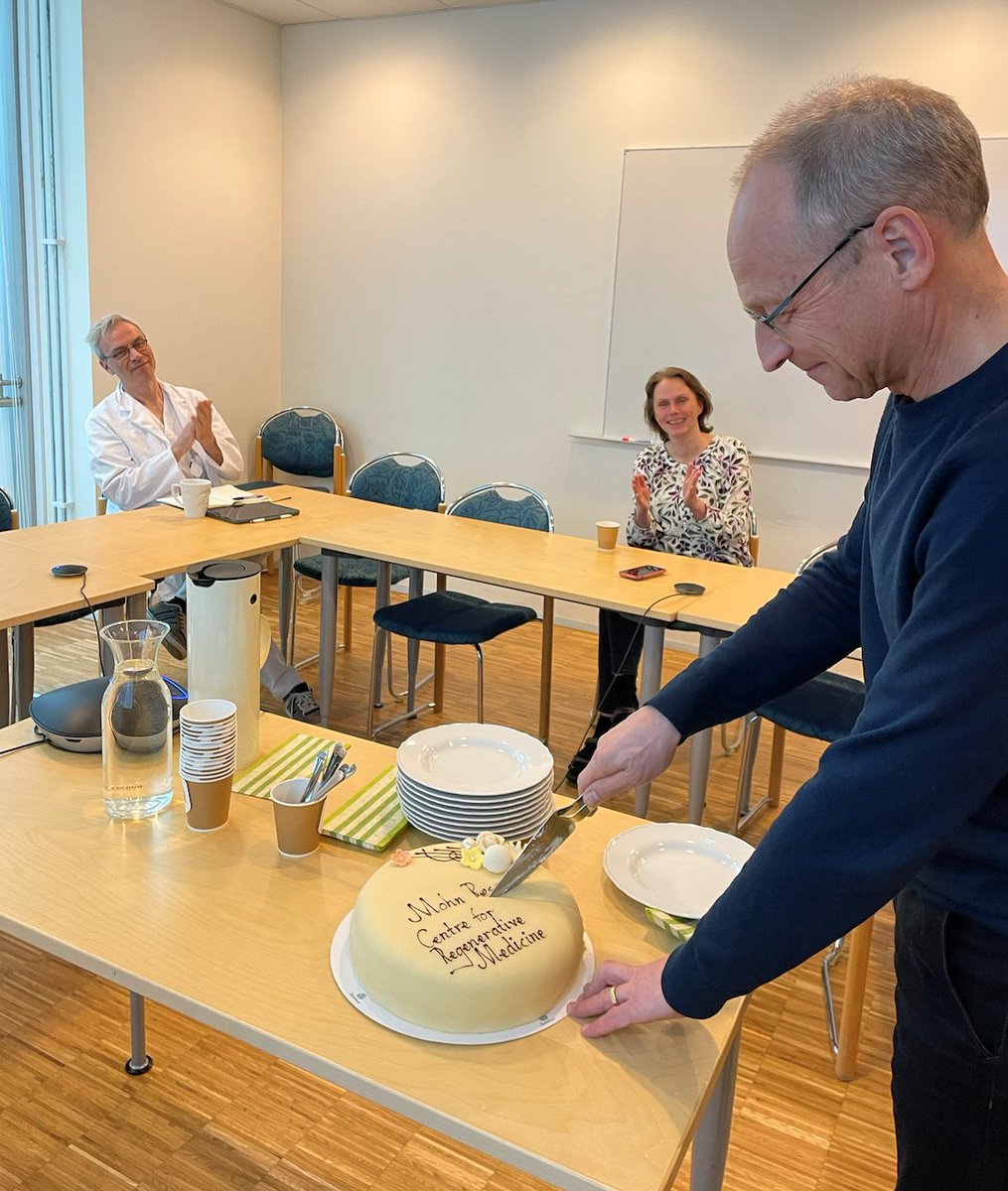 🍰At yesterday's meeting in the MRCRM management group we celebrated the official commencement of the regenerative medicine projects funded by the @bfstiftelse! Read more here: helse-bergen.no/en/regenerativ…