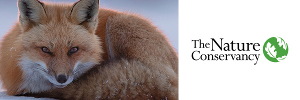 FP0g3QQWUAIu1E4.jpg:large