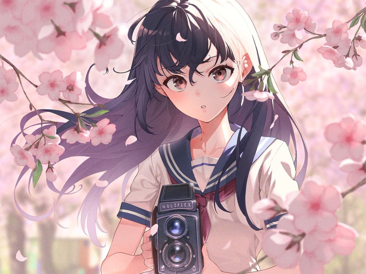 1girl solo camera long hair cherry blossoms holding camera school uniform  illustration images