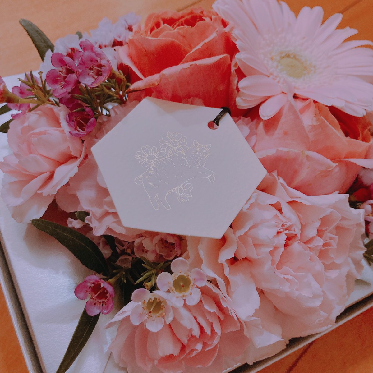 TouuRana's tweet photo. #FallGuysFun で当選したお花届きました〜!🌸
ピンクで可愛い!!
素敵なお花ありがとうございます!💗
玄関に飾って家族で癒されてます🌷´-
花よ志様
@hanayoshi_gunma
主催 DELTA様
@DELTAGG058 https://t.co/beT5KYNBJl