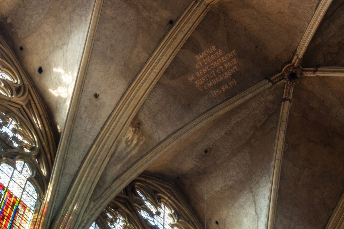 Alejandro Lo Celso tweet media