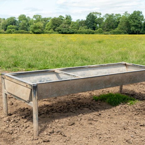 TB_Advisory's tweet photo. If you aren’t keen on paying to feed badgers and want to reduce the risk of spreading TB use troughs that are at least 1meter off the floor or have rollers around the sides to prevent badger access.
#tbadvisoryservice #tbadvice https://t.co/ccE9f6y00I