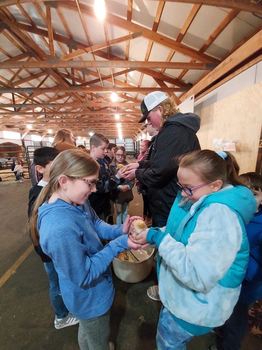 UnionCityFFA's tweet photo. Some of Union Cities FFA members went to help with this year ag days. They helped with the animals and leading groups. Thank you to everyone that helped this year! https://t.co/Tu3oQ7MVuG