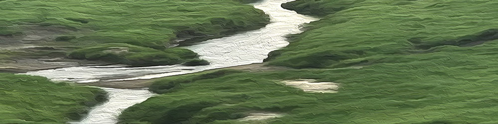 Backchannels Journal tweet media