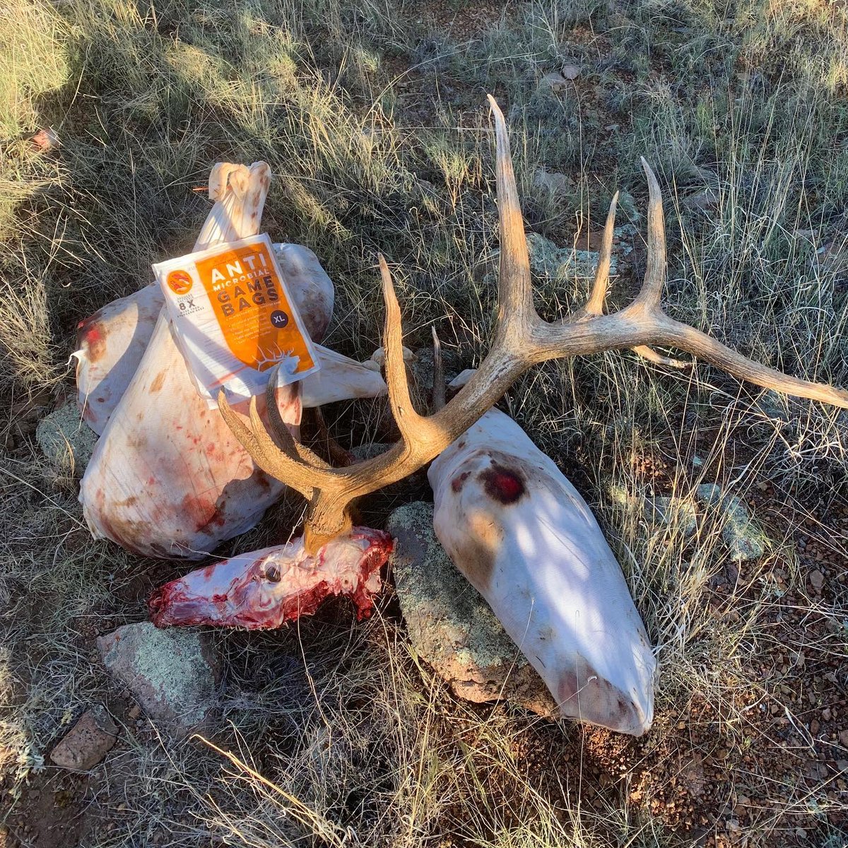 KoolaBuck's tweet photo. The best way to end a hunt! Pack it with some GAME BAGS from Koola Buck - Reduces bacteria 8x more than standard game bags. 🦌 #WeSaveTheMeats #KoolaBuck #GameBags https://t.co/iTm0gfGupB