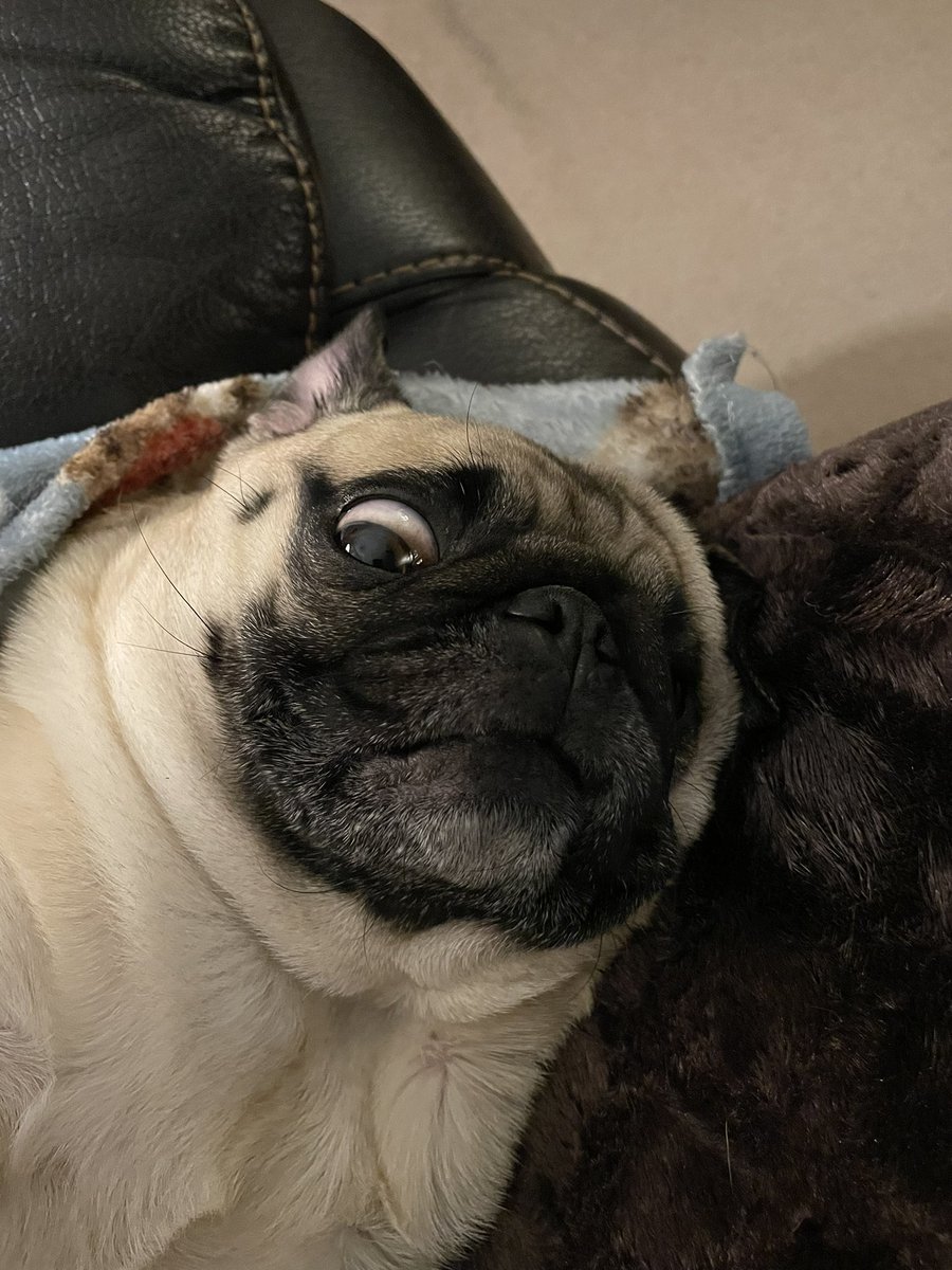 RubySnorts tweet picture
