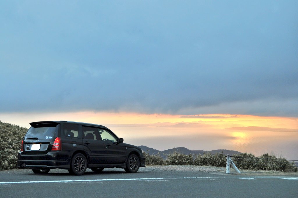 スズメノテッポウの人 tweet media