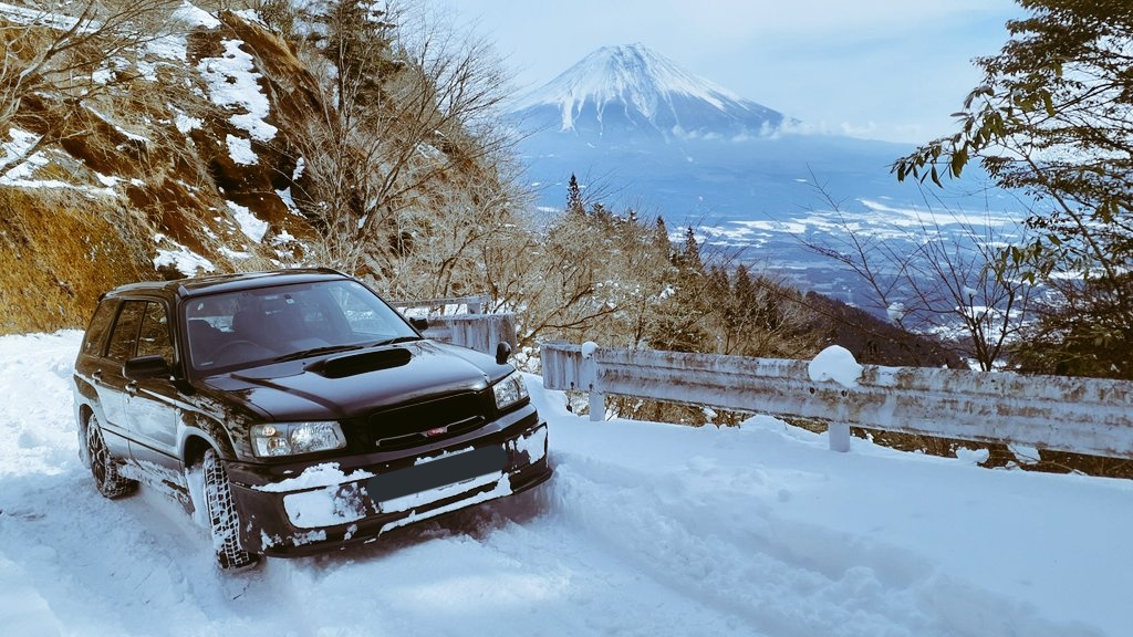 スズメノテッポウの人 tweet media